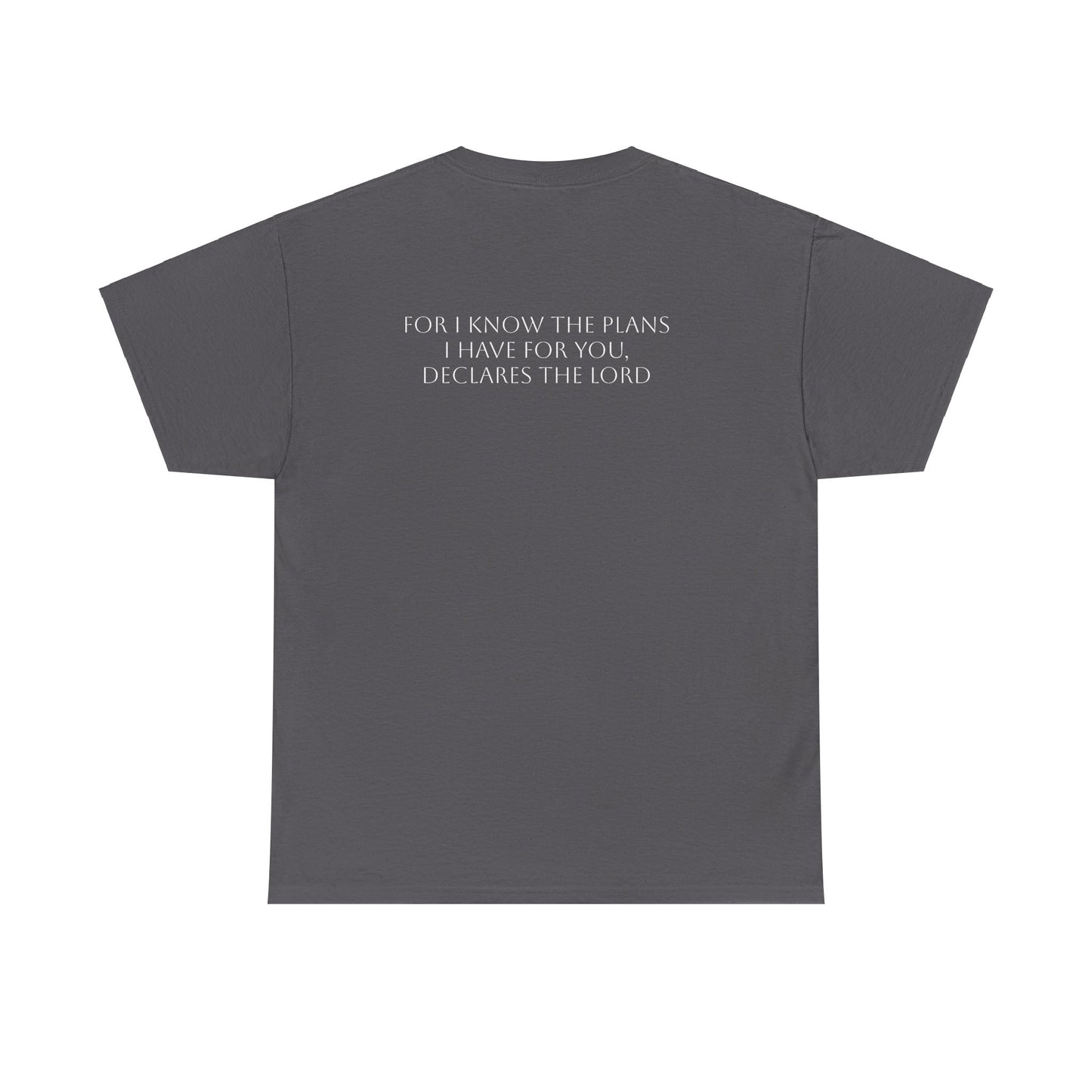 Jeremiah 29:11 T-shirt