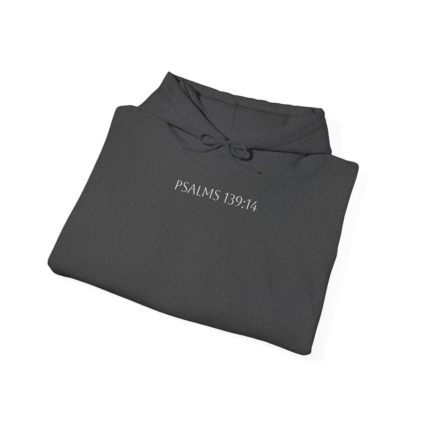 Psalms 139:14 Hoodie