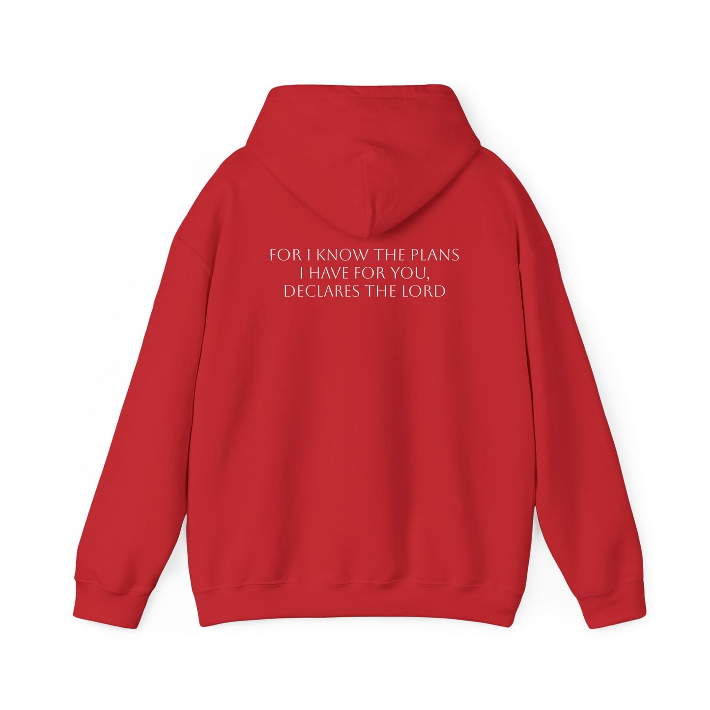 Jeremiah 29:11 Hoodie