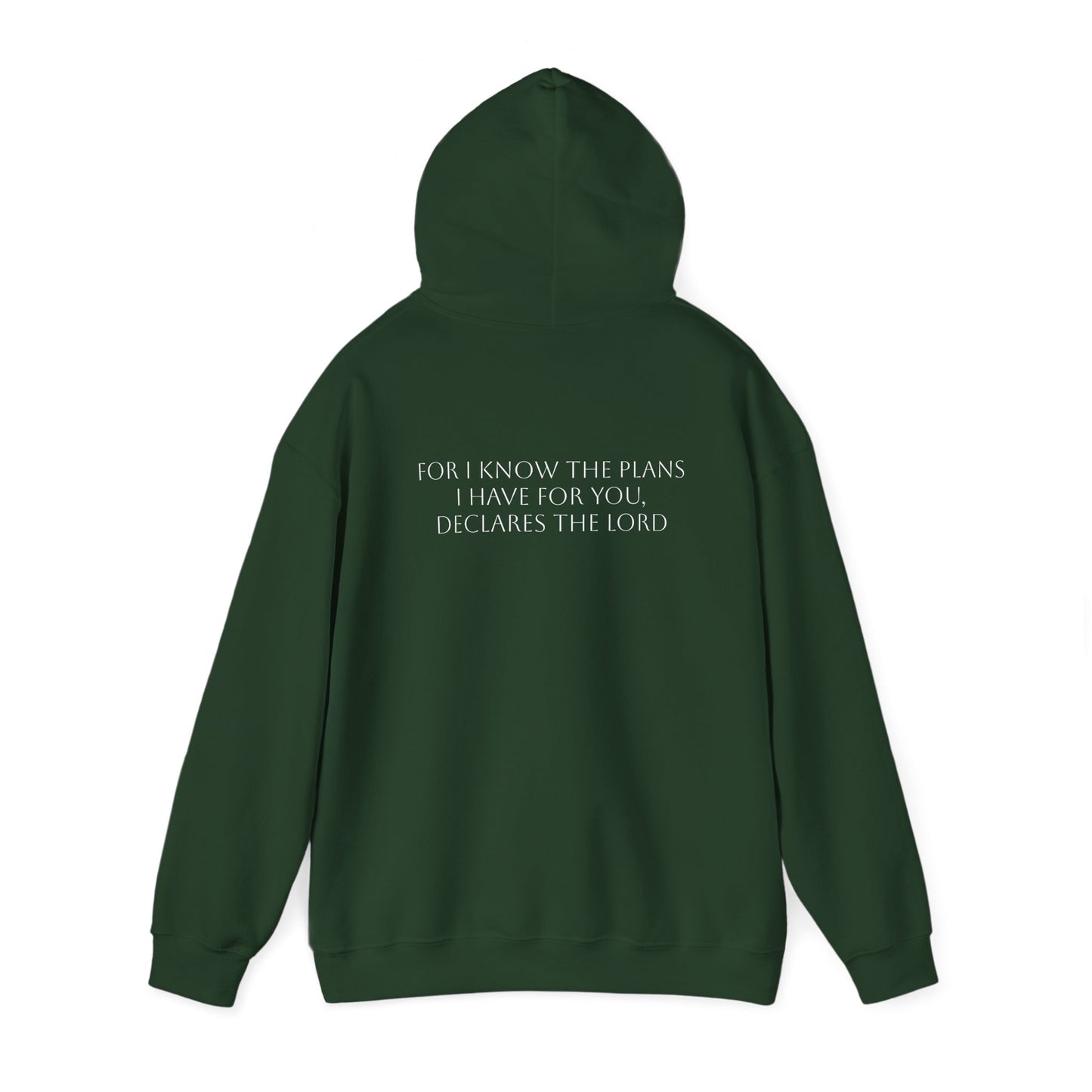 Jeremiah 29:11 Hoodie